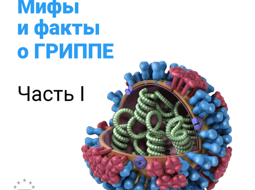 Мифы и факты о Гриппе. Часть I